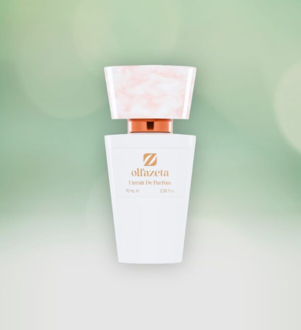 Chogan 049 Olfazeta Damen Parfum Duft Duftino 70ml